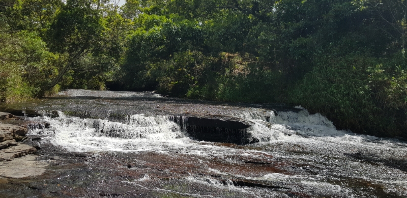 20190707_105728.jpg