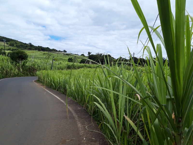20180729_104536.jpg