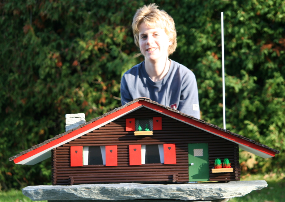 Swiss chalet bird house
