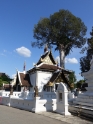 DSC01100