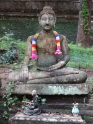 DSC01130