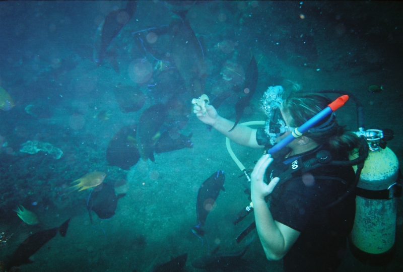 000037.JPG - Indonesia Bali Tulamben. Scuba diving the wreck S/S Liberty