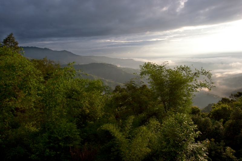 balcony_view.jpg