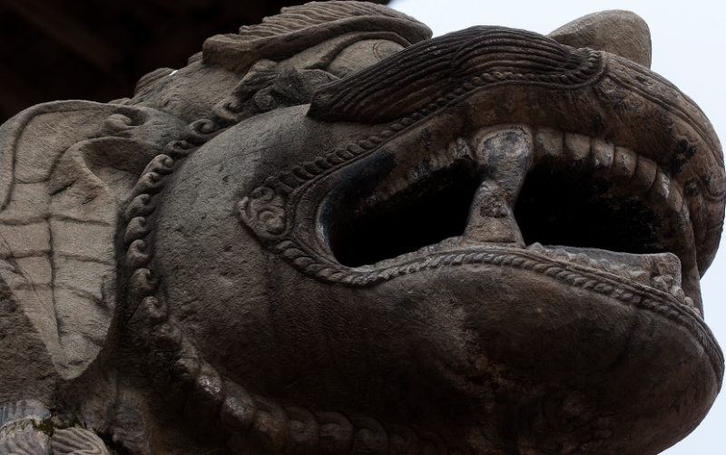 lion.jpg