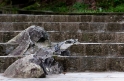 rock_stairs