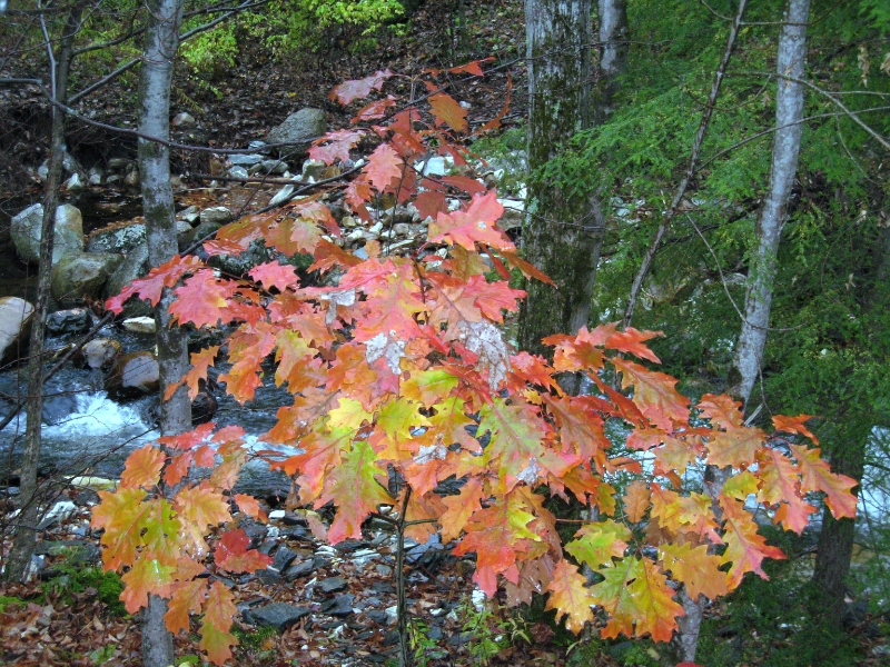 IMG_3627.jpg
