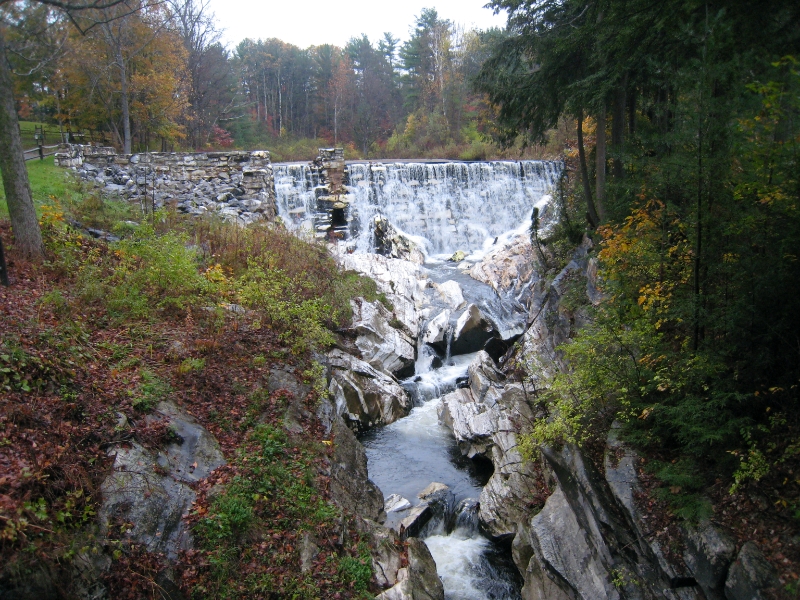IMG_3629.jpg