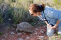 carolinetortoise