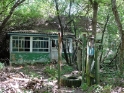 DSC00934