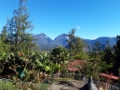 ReunionMauritius